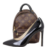Louis Vuitton Palm Springs Mini Backpack Monogram