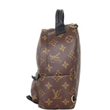 Louis Vuitton Palm Springs Mini Backpack Monogram