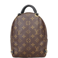 Louis Vuitton Palm Springs Mini Backpack Monogram