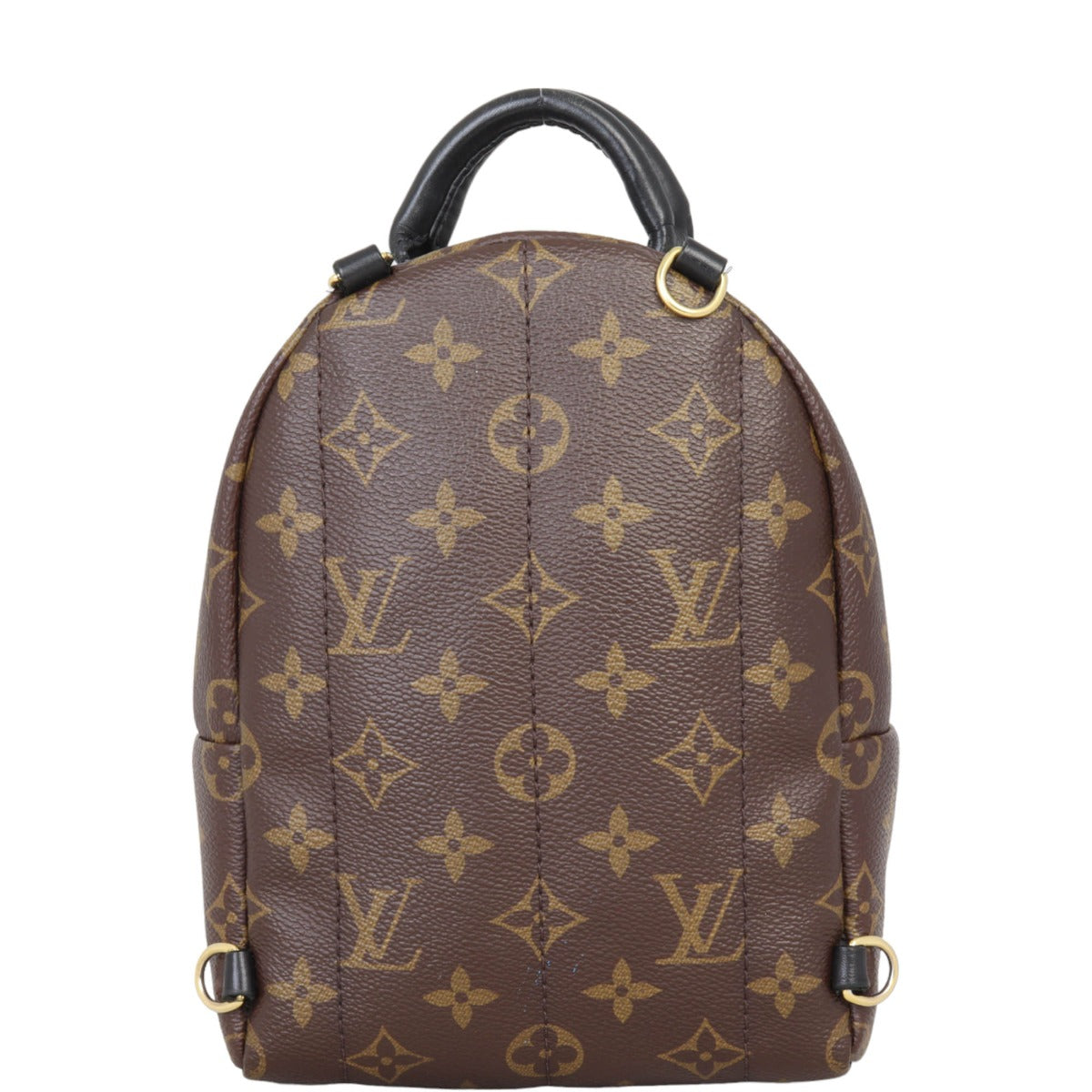 Louis Vuitton Palm Springs Mini Backpack Monogram