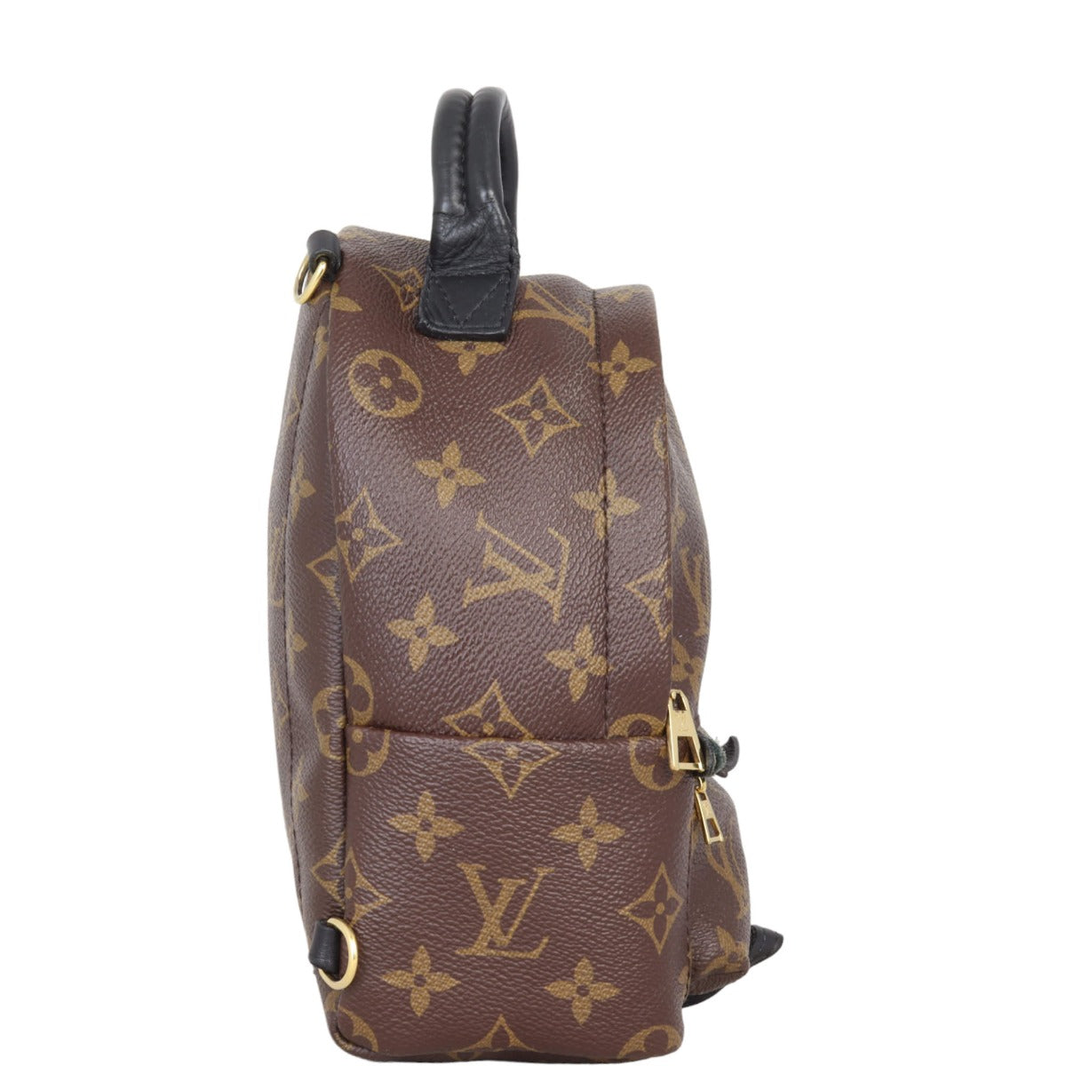 Louis Vuitton Palm Springs Mini Backpack Monogram