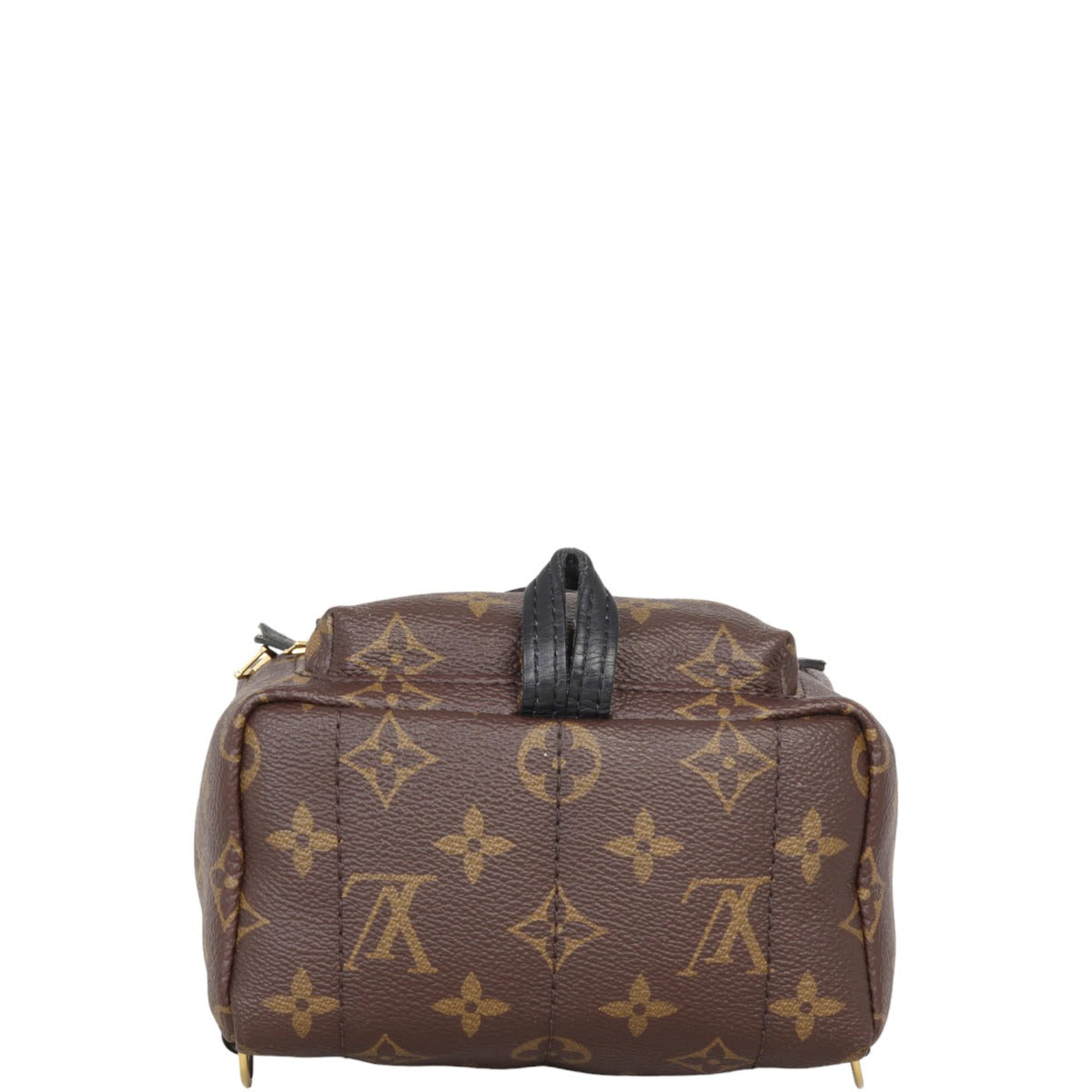 Louis Vuitton Palm Springs Mini Backpack Monogram