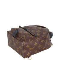 Louis Vuitton Palm Springs Mini Backpack Monogram