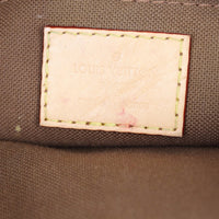 Louis Vuitton Multi Pochette Accessoires Monogram