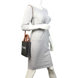 Celine Triomphe Vertical Cabas Tote Mini