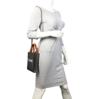 Celine Triomphe Vertical Cabas Tote Mini