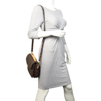 Louis Vuitton Pochette Metis Monogram