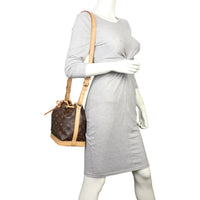 Louis Vuitton Noe BB Monogram