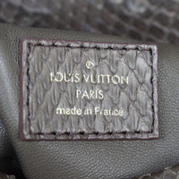 Louis Vuitton Artsy MM Python