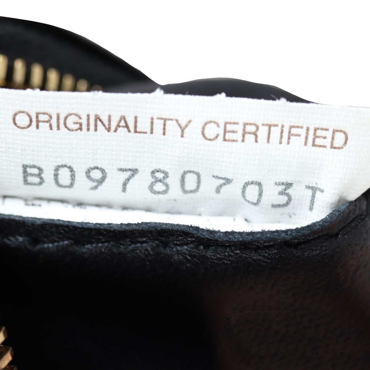 Bottega Veneta Chain Padded Cassette Bag