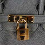 Hermes Birkin 25 Togo