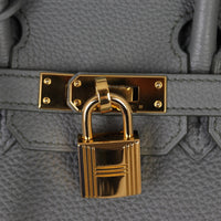 Hermes Birkin 25 Togo