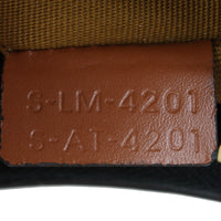 Celine Ava Triomphe Hobo