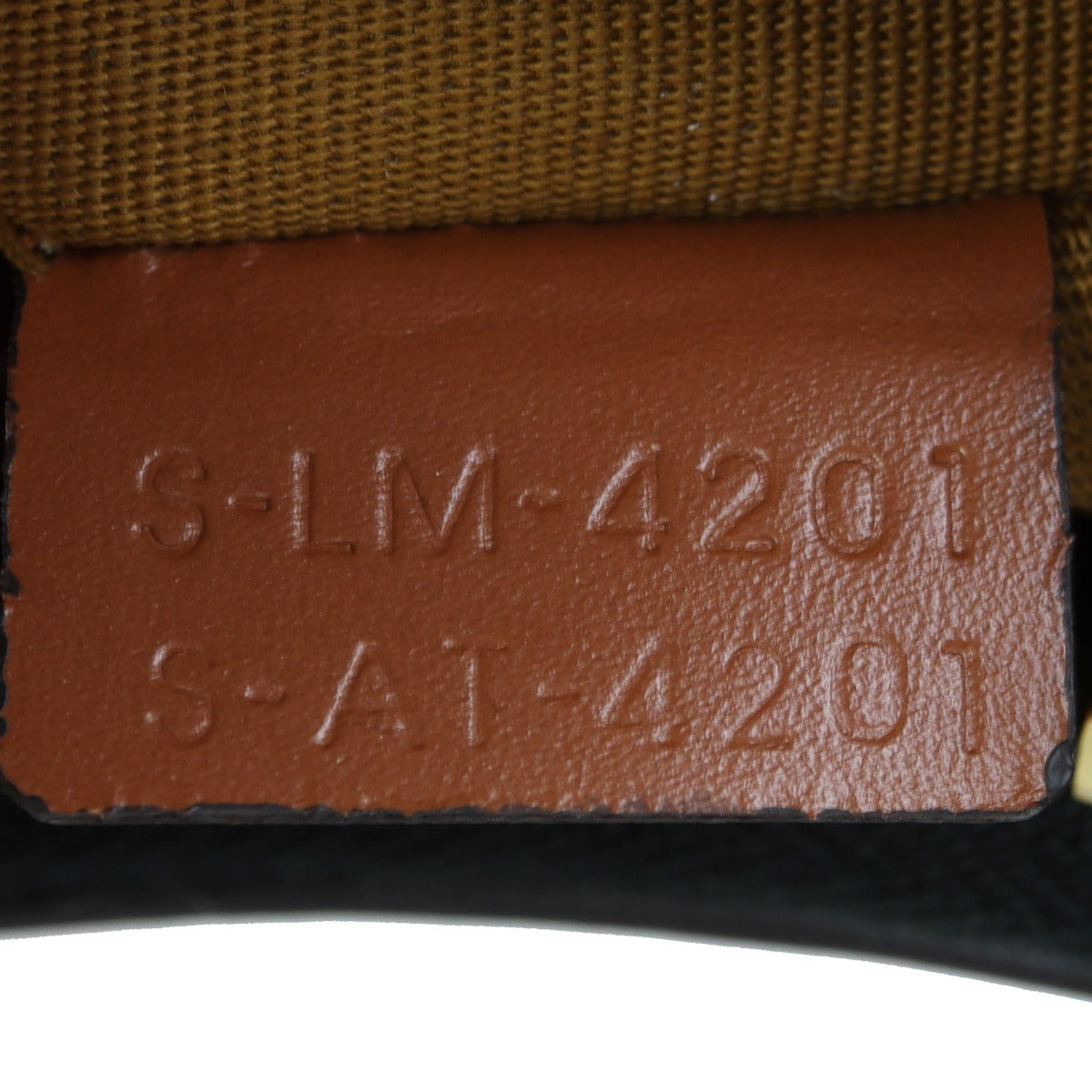 Celine Ava Triomphe Hobo