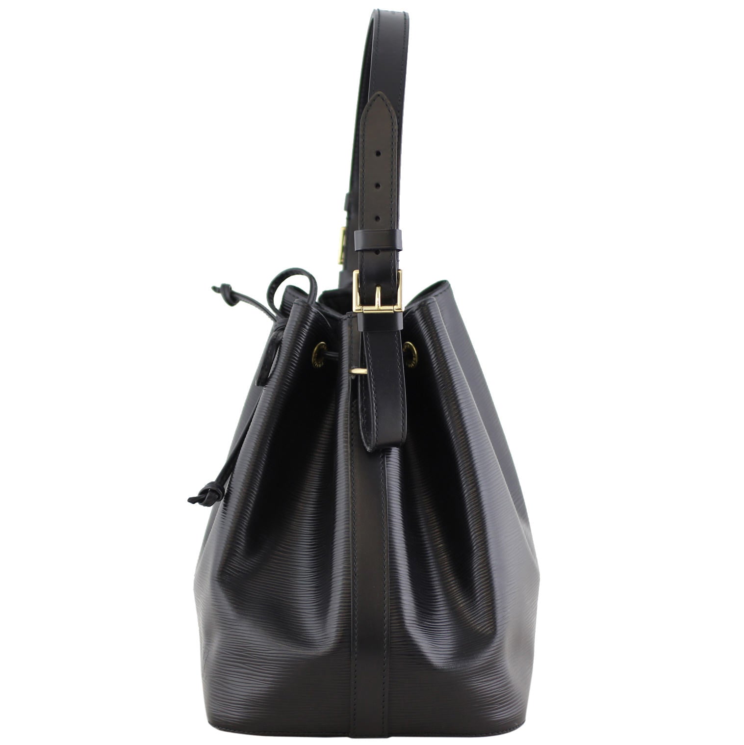 Louis Vuitton Petit Noe Epi Left