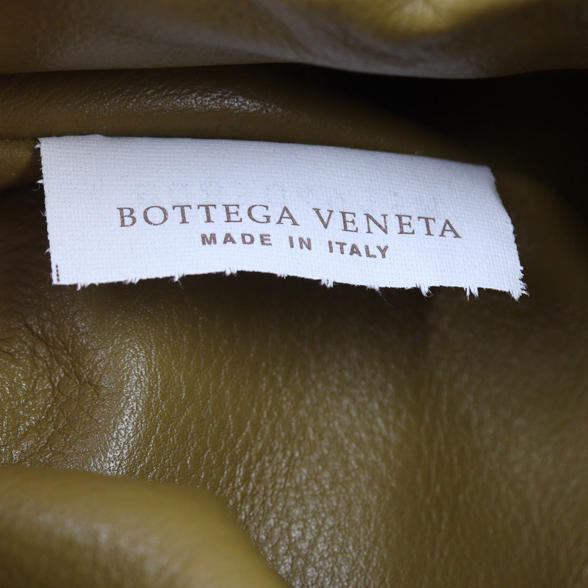 Bottega Veneta The Pouch