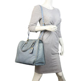 Prada Double Bag Ostrich