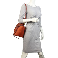 Celine Mini Belt Bag Python