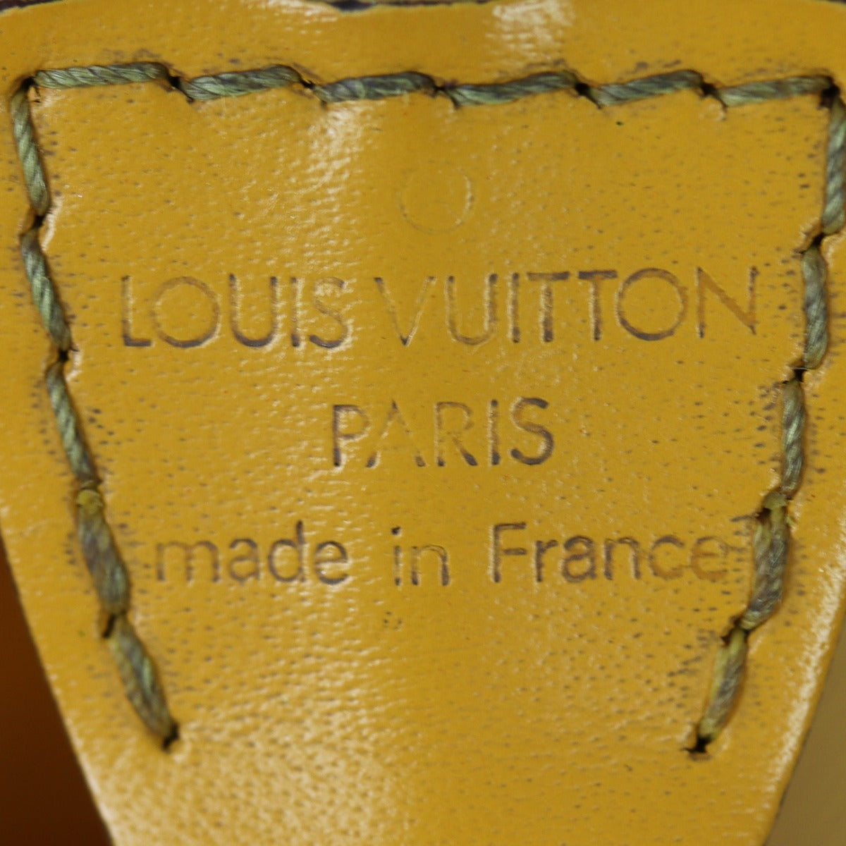 Louis Vuitton Pochette Accessories Epi