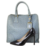 Prada Double Bag Ostrich