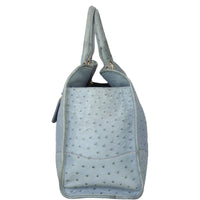 Prada Double Bag Ostrich