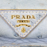 Prada Double Bag Ostrich