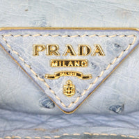 Prada Double Bag Ostrich