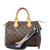 Louis Vuitton Speedy 25 Monogram