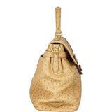 Prada Ostrich Pushlock Flap Top Handle Bag