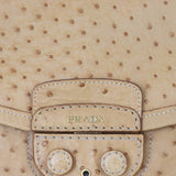 Prada Ostrich Pushlock Flap Top Handle Bag