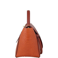 Celine Mini Belt Bag Python