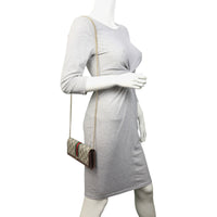 Gucci Ophidia GG Supreme Wallet on Chain