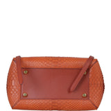 Celine Mini Belt Bag Python