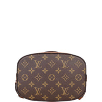 Louis Vuitton Dauphine Backpack Monogram Reverse