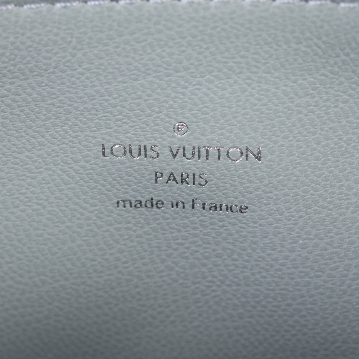 Louis Vuitton Coussin PM Monogram Embossed Lambskin