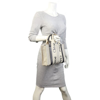 Chloe Woody Tote Bag Small