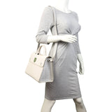 Dior Diorever Medium Satchel Python