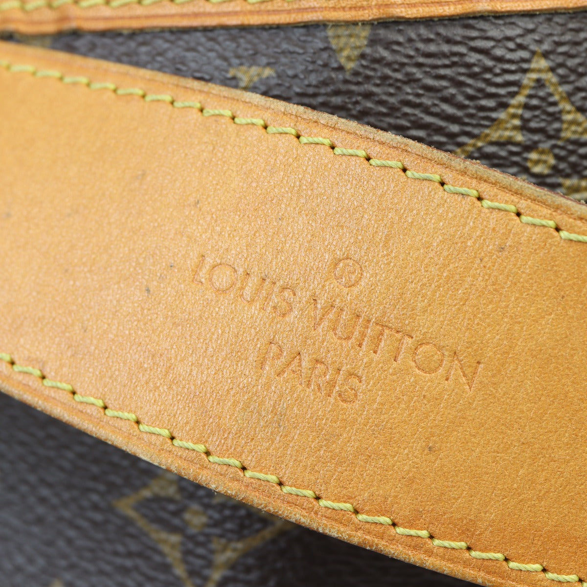 Louis Vuitton Delightful PM Monogram