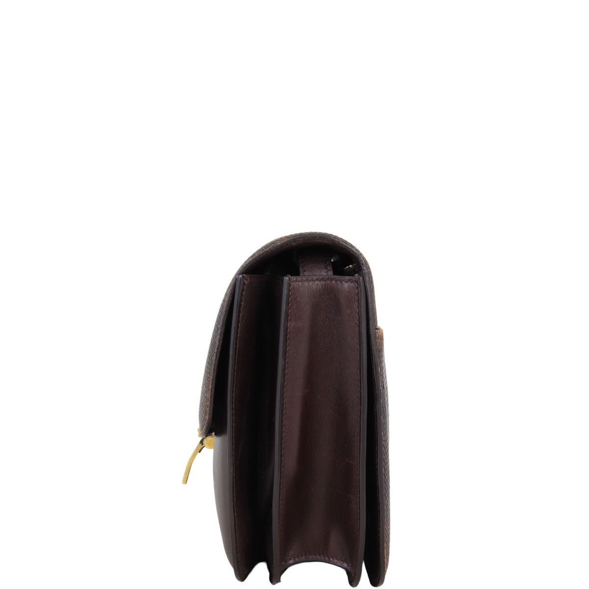 Celine Classic Medium Lizard Bag