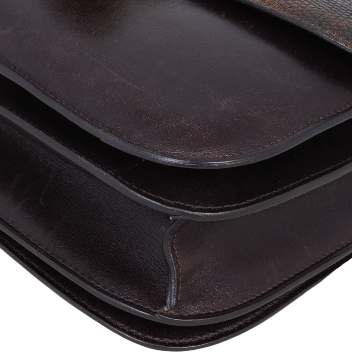 Celine Classic Medium Lizard Bag