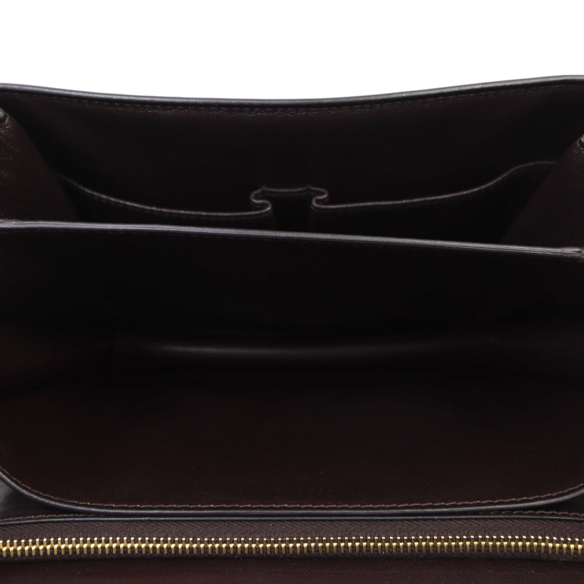 Celine Classic Medium Lizard Bag