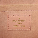 Louis Vuitton New Wave Camera Bag