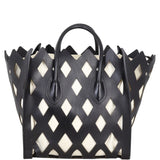 Celine Phantom Luggage Tote Cutout