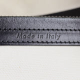 Celine Phantom Luggage Tote Cutout