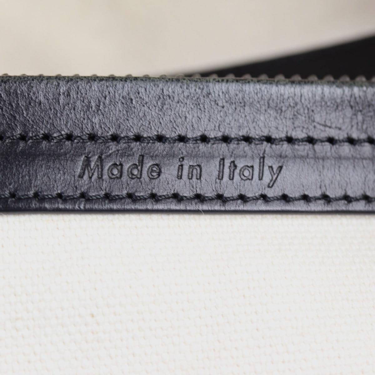 Celine Phantom Luggage Tote Cutout