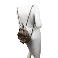 Louis Vuitton Palm Springs Mini Backpack Monogram