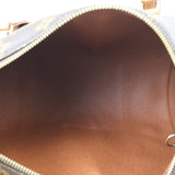 Louis Vuitton Papillon 30 Monogram