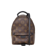Louis Vuitton Palm Springs Mini Backpack Monogram
