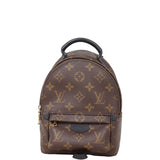 Louis Vuitton Palm Springs Mini Backpack Monogram