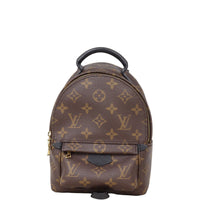 Louis Vuitton Palm Springs Mini Backpack Monogram